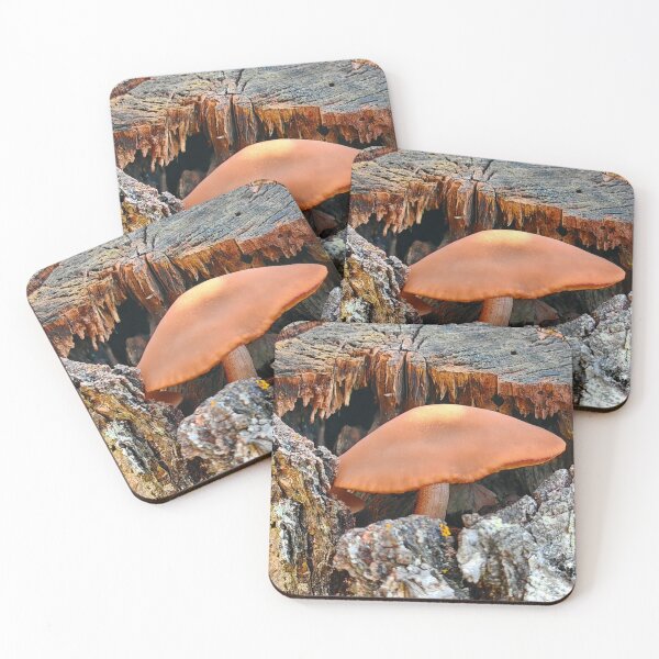Item preview, Boho Shiseido Cosmetics dMushroom Artistic Style designed and sold by Peachsocute.