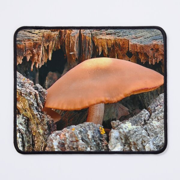 Item preview, Boho Shiseido Cosmetics dMushroom Artistic Style designed and sold by Peachsocute.