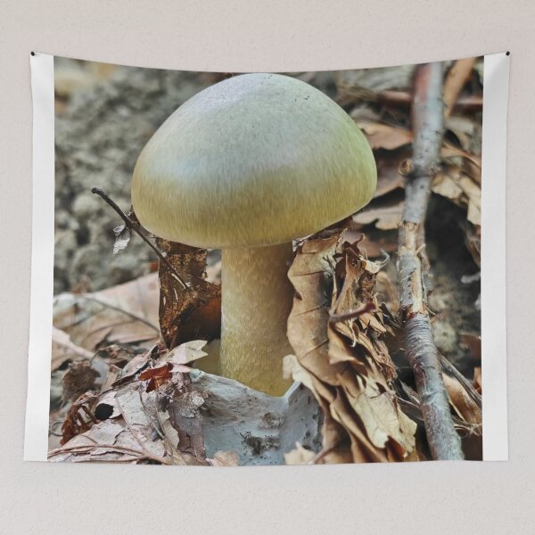 Item preview, Modern Shiseido Cosmetics aMushroom Graphic Design designed and sold by Peachsocute.