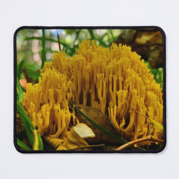 Item preview, Rustic Shiseido Cosmetics Mushroom Woodland Scene designed and sold by Peachsocute.