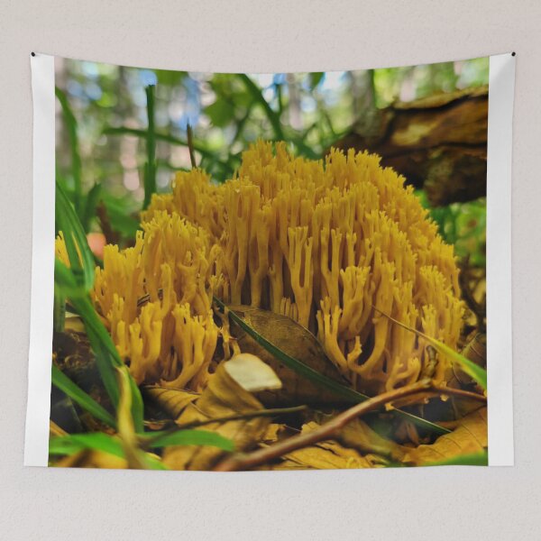 Item preview, Rustic Shiseido Cosmetics Mushroom Woodland Scene designed and sold by Peachsocute.