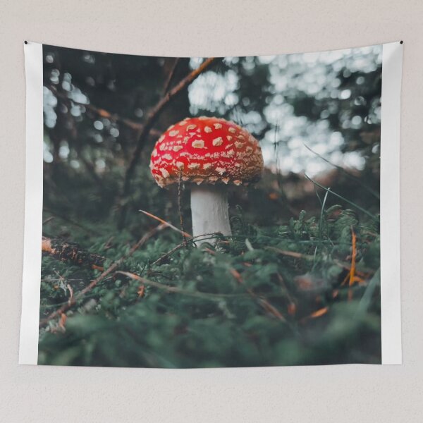 Item preview, Mushroom Foot Locker aCircle Mandala Pattern designed and sold by Peachsocute.
