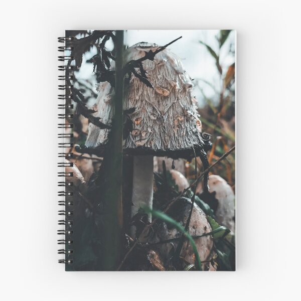 Item preview, Colorful Foot Locker Mushroom Nature Burst designed and sold by Peachsocute.