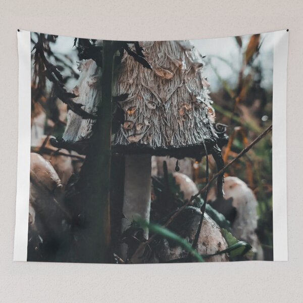 Item preview, Colorful Foot Locker Mushroom Nature Burst designed and sold by Peachsocute.