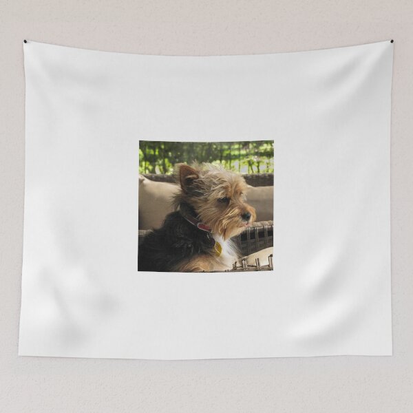 Item preview, Chipper - a yorkie poo  designed and sold by DPalmer.