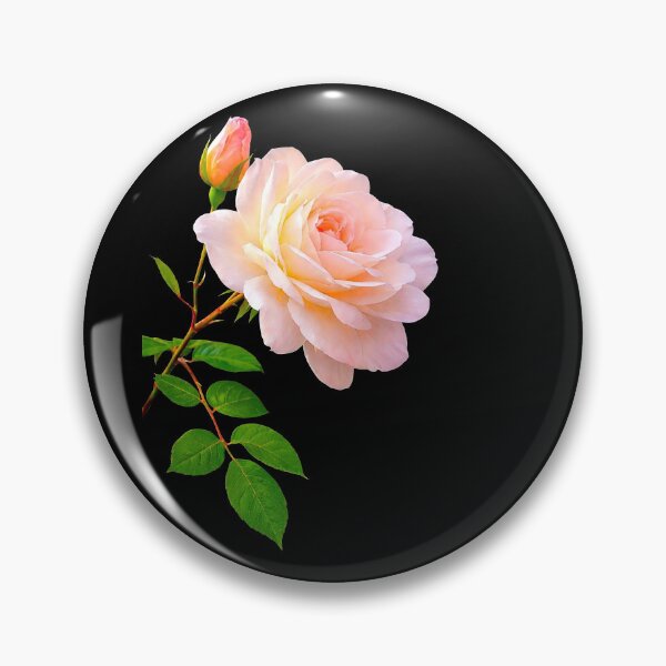 Item preview, Luxury Delicate Pink Rose wth a Bud Close-up Shapes Mania designed and sold by Shapes-Mania.