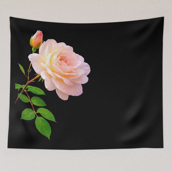 Item preview, Luxury Delicate Pink Rose wth a Bud Close-up Shapes Mania designed and sold by Shapes-Mania.