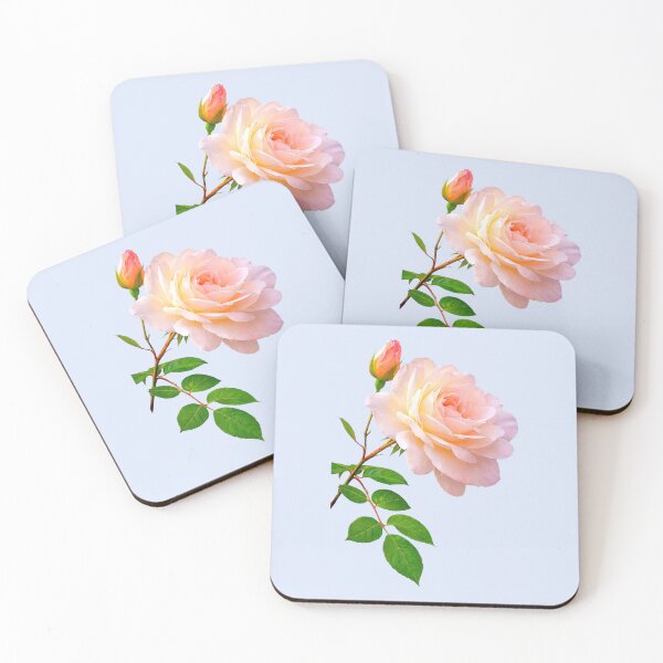 Item preview, Luxury Delicate Pink Rose wth a Bud Close-up on Grey Shapes Mania designed and sold by Shapes-Mania.