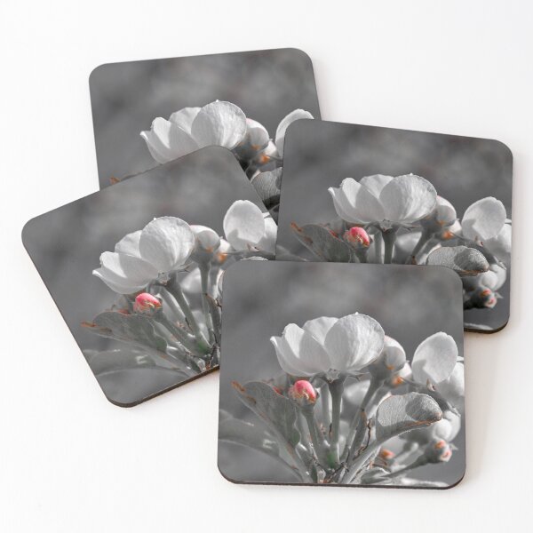 Item preview, Plum blossoms color isolation edit  designed and sold by Cblifeisgood.