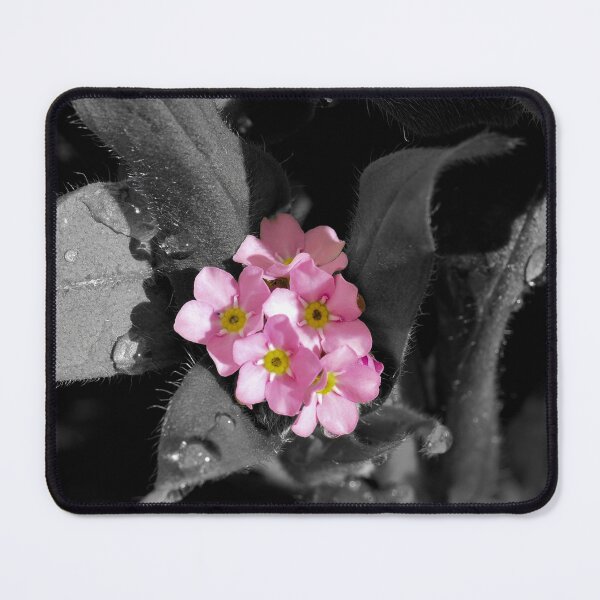 Item preview, Pink Forget me not flowers in greyed background  designed and sold by Cblifeisgood.