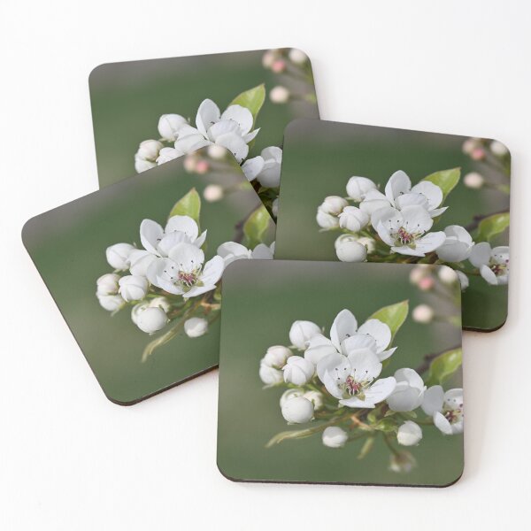 Item preview, White blossoms  designed and sold by Cblifeisgood.
