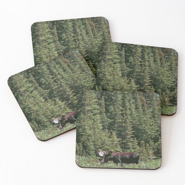 Item preview, Bull Moose Pine Forest Colorado Rocky Mountain Wildlife Photography designed and sold by MixedPaletteCo.