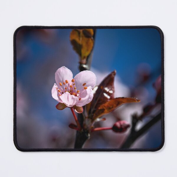 Item preview, Pink blossom  designed and sold by Cblifeisgood.