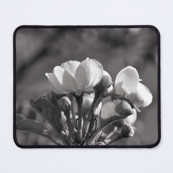 Item preview, Plum blossoms in monochrome  designed and sold by Cblifeisgood.