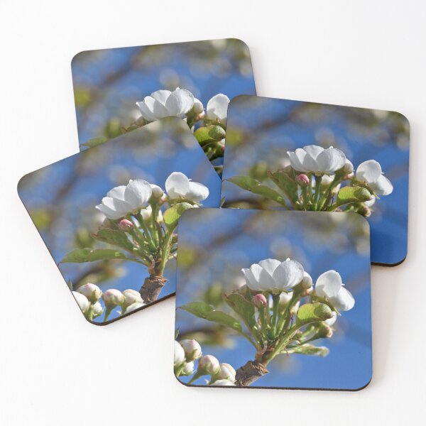 Item preview, Plum blossoms getting ready to open  designed and sold by Cblifeisgood.