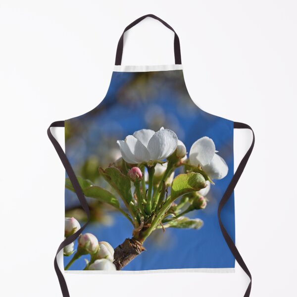 Aperçu de l'œuvre Les fleurs de prunier se préparent à éclore. créée et vendue par Cblifeisgood.
