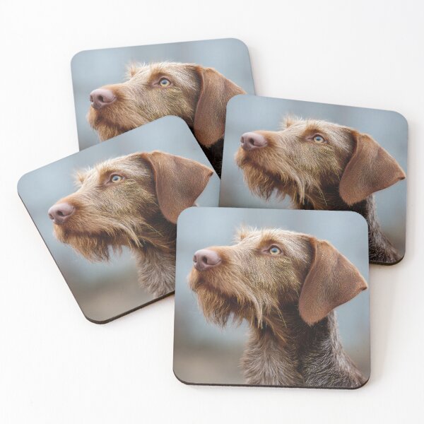Item preview, Wired Haired Vizsla Profile designed and sold by Elisabeth Lucas.