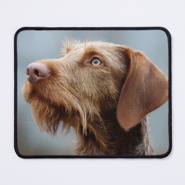 Item preview, Wired Haired Vizsla Profile designed and sold by Elisabeth Lucas.