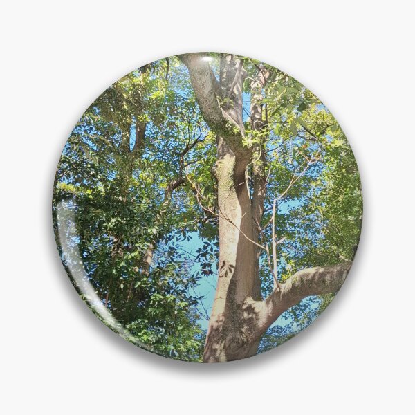 Item preview, Greenery decorates the Shrine areas of Japan designed and sold by Susan4Travel.