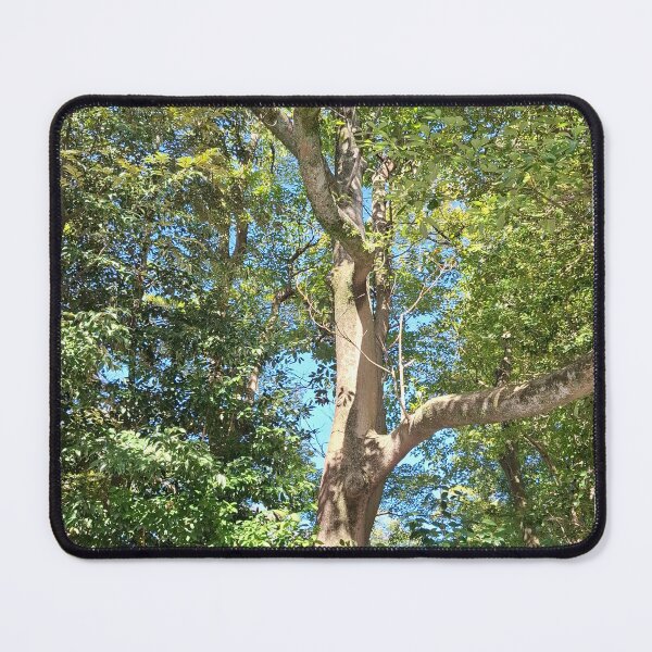 Item preview, Greenery decorates the Shrine areas of Japan designed and sold by Susan4Travel.