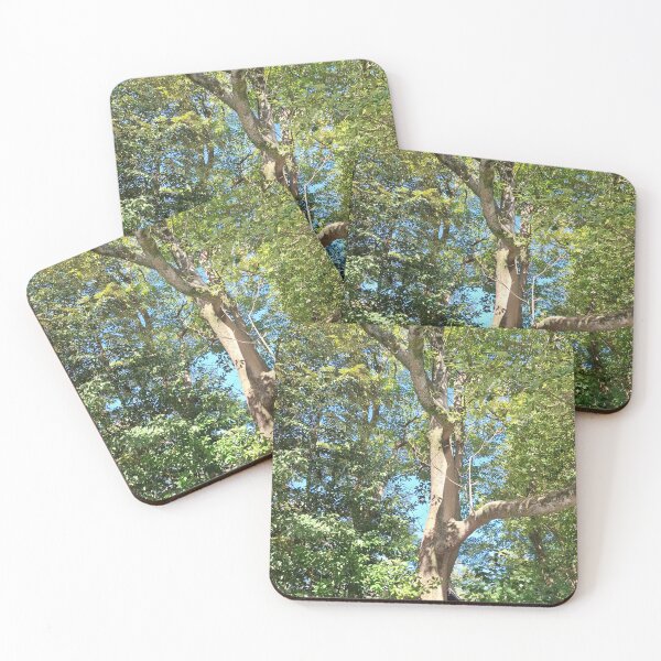 Item preview, Greenery decorates the Shrine areas of Japan designed and sold by Susan4Travel.
