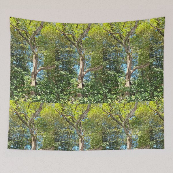 Item preview, Greenery decorates the Shrine areas of Japan designed and sold by Susan4Travel.