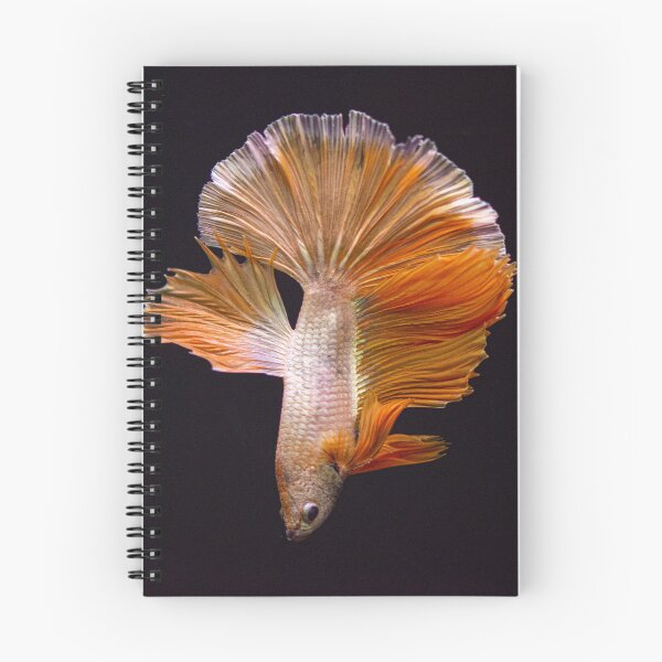 Item preview, Ethereal White Betta: Macro Fin Art designed and sold by The Greenhouse Studio.