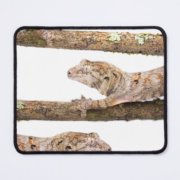 Item preview, Gargoyle Gecko Macro: Natural Branch Portrait designed and sold by The Greenhouse Studio.