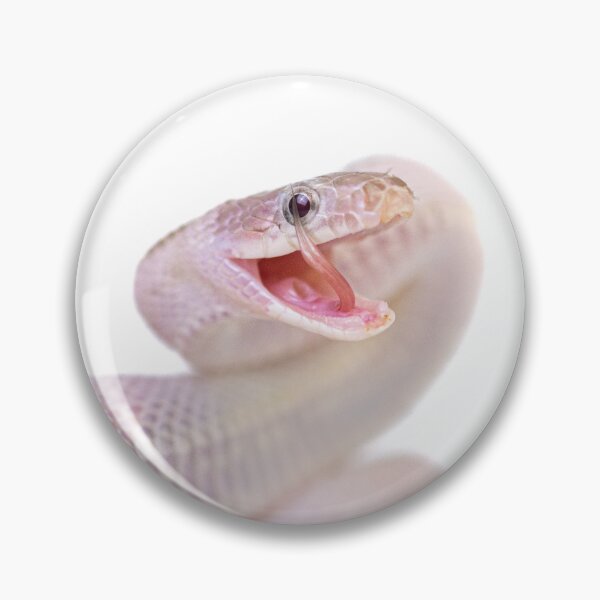 Item preview, Pastel Corn Snake Macro: Strike Pose designed and sold by The Greenhouse Studio.