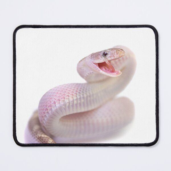 Item preview, Pastel Corn Snake Macro: Strike Pose designed and sold by The Greenhouse Studio.