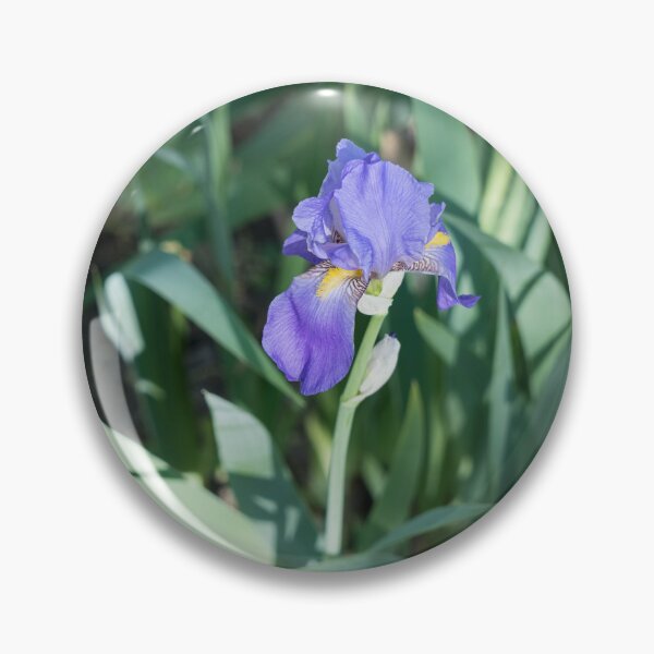 Item preview, Elegant Violet Iris Bloom in Sunlit Garden designed and sold by Georgia Mizuleva.