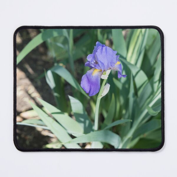 Item preview, Elegant Violet Iris Bloom in Sunlit Garden designed and sold by Georgia Mizuleva.