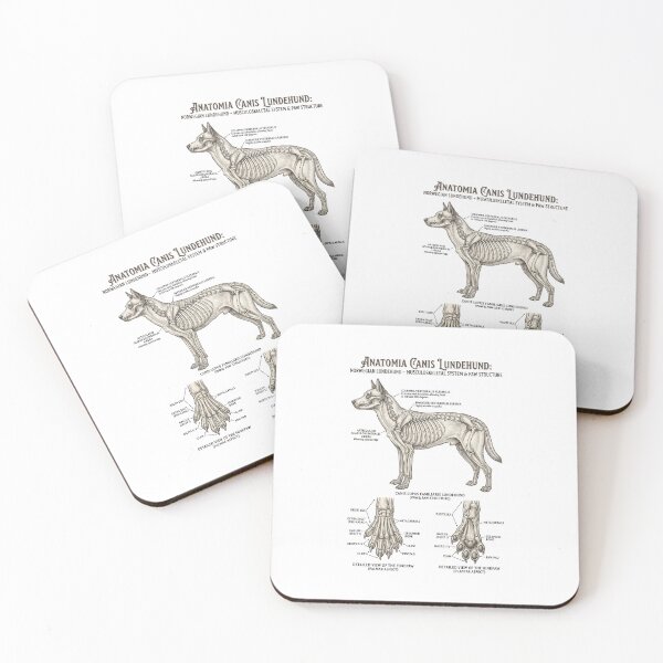Item preview, Norwegian Lundehund Anatomy Poster – Vintage Dog Skeleton Illustration designed and sold by KAYJAY DESIGNS.