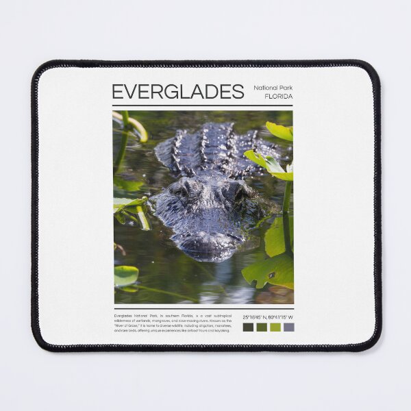 Item preview, Everglades National Park - Florida  designed and sold by StudioRedKoala.