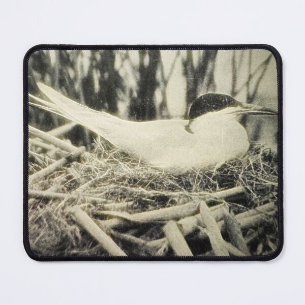 Item preview, Birds 1917 No 3  designed and sold by bloomingvine.