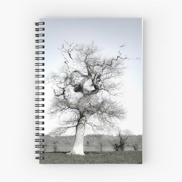 Item preview, Lone Monochrome Tree designed and sold by Graz-Photos.