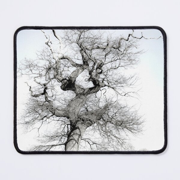 Item preview, Lone Monochrome Tree designed and sold by Graz-Photos.