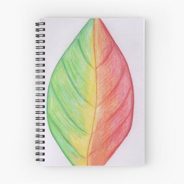 Item preview, A leaf in different seasons  designed and sold by Artbysarah23.