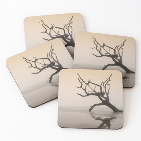 Item preview, Bull Island 26/5 designed and sold by DiFigianoPhoto.