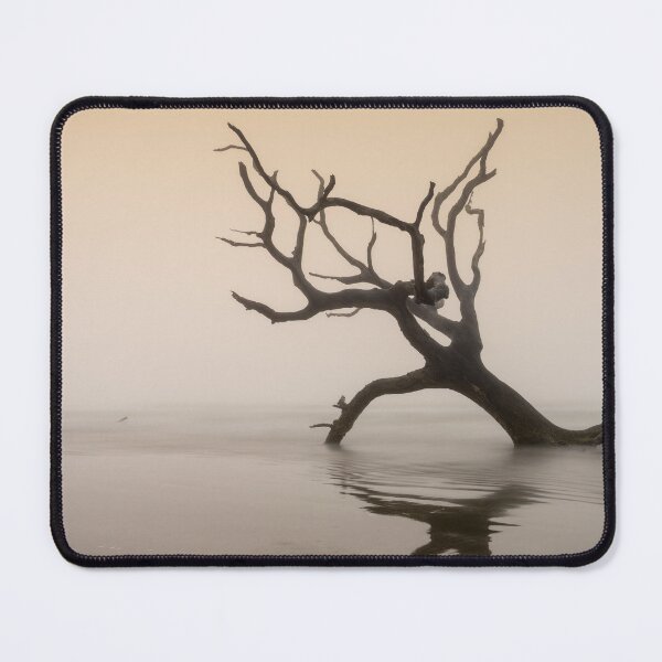 Item preview, Bull Island 26/5 designed and sold by DiFigianoPhoto.