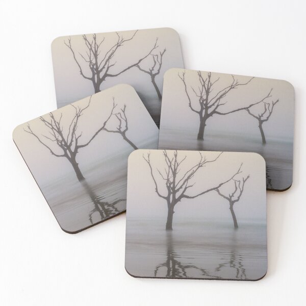Item preview, Bull Island 26/4 designed and sold by DiFigianoPhoto.