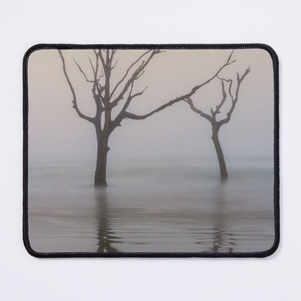 Item preview, Bull Island 26/4 designed and sold by DiFigianoPhoto.