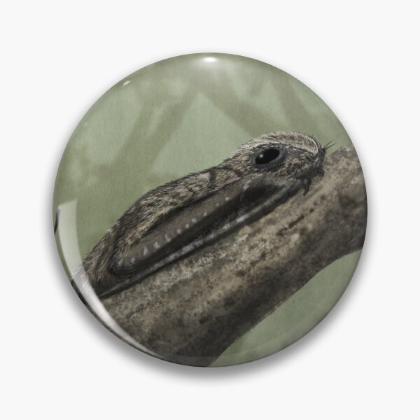 Item preview, Anurognathus on a branch designed and sold by MarkWitton.