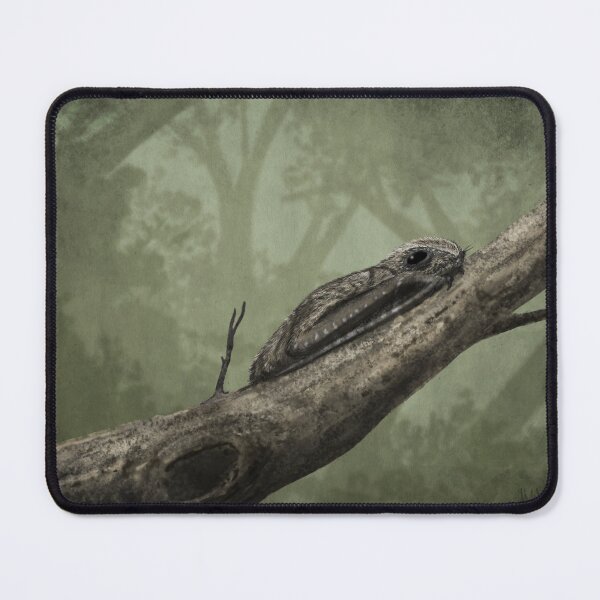 Item preview, Anurognathus on a branch designed and sold by MarkWitton.