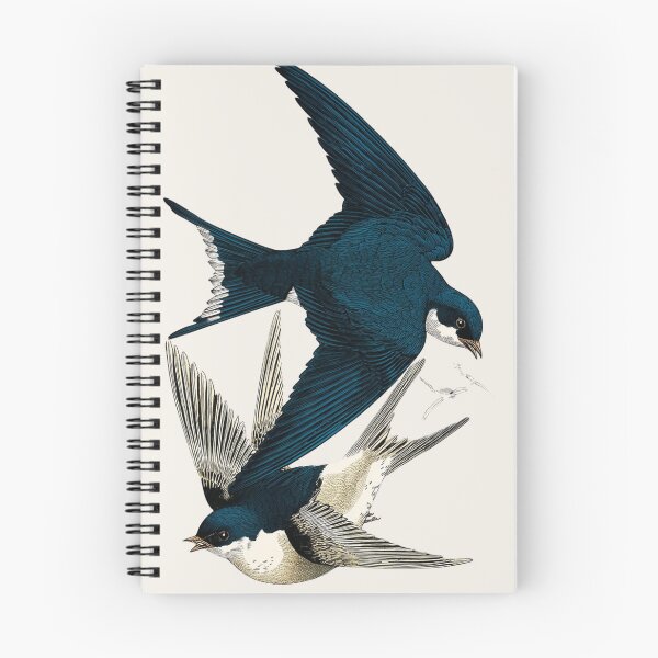 Aperçu de l'œuvre Deux hirondelles en vol, estampe japonaise sur bois représentant des oiseaux créée et vendue par BestVarieties.