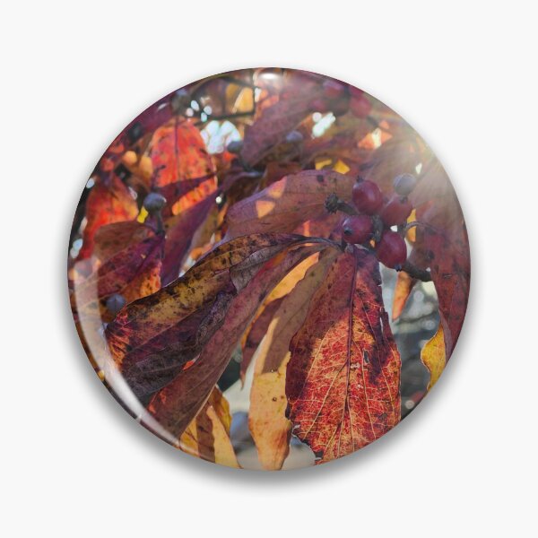 Item preview, Translucent designed and sold by Shellie Bruner.