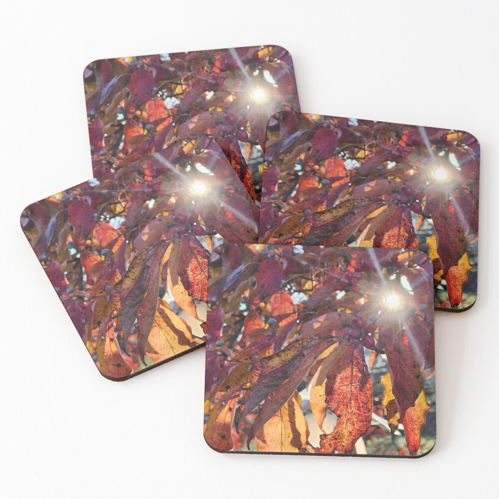 Item preview, Coasters (Set of 4) designed and sold by N1x13.