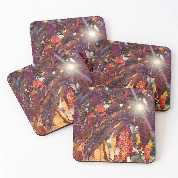 Item preview, Translucent designed and sold by Shellie Bruner.