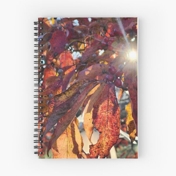 Item preview, Translucent designed and sold by Shellie Bruner.