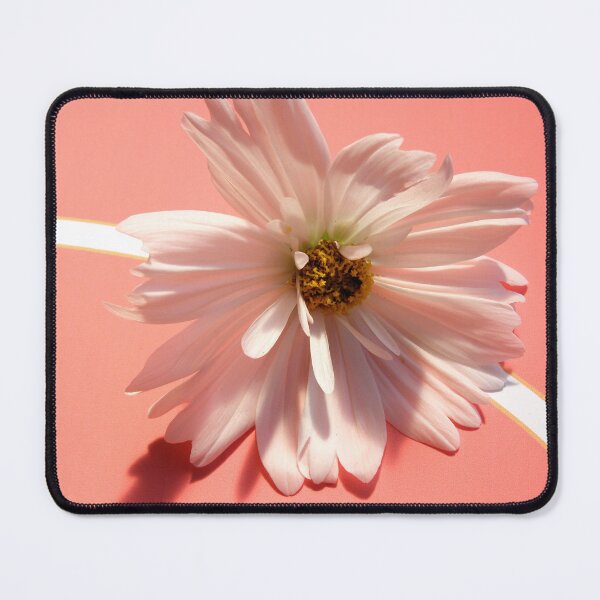 Item preview, Cosmos white pink designed and sold by birgitsfotoshop.